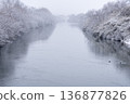冬天，雪花輕輕飄落在河岸邊，樹木也被白雪覆蓋。 136877826