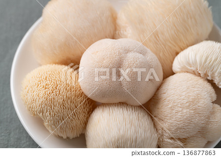 Fresh Lion's Mane mushroom (Hericium erinaceus) or Yamabushitake mushroom 136877863