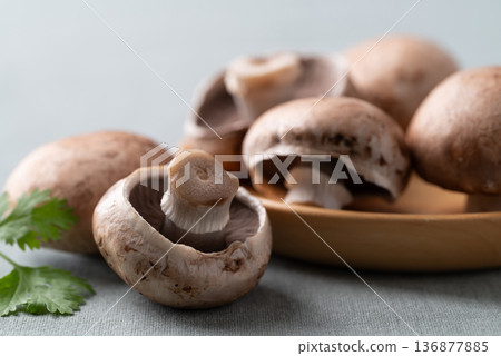 Fresh crimini mushroom or baby bella mushroom on wooden plate Fresh crimini mushroom or baby bella mushroom on wooden plate 136877885