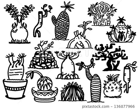 Image of tuberous plants 136877966