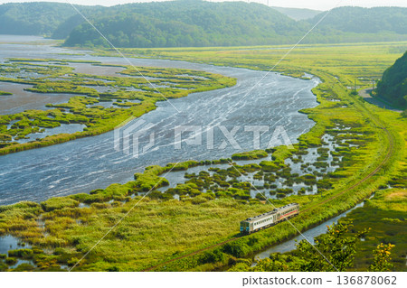 夏季，一列花崎線列車穿過別甘貝希濕地。 136878062