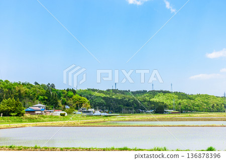Miyagi: Scenery immediately after rice planting Miyagi: Scenery immediately after rice planting 136878396