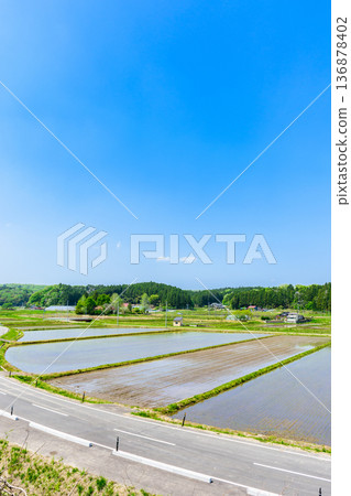 Miyagi: Scenery immediately after rice planting Miyagi: Scenery immediately after rice planting 136878402