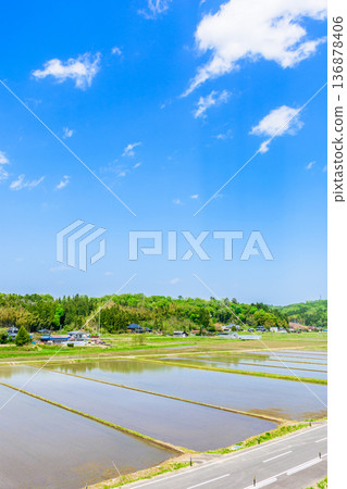 宮城縣:水稻插秧後的景色 宮城縣:水稻插秧後的景色 136878406
