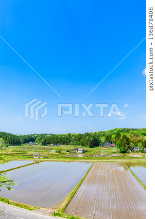 Miyagi: Scenery immediately after rice planting Miyagi: Scenery immediately after rice planting 136878408
