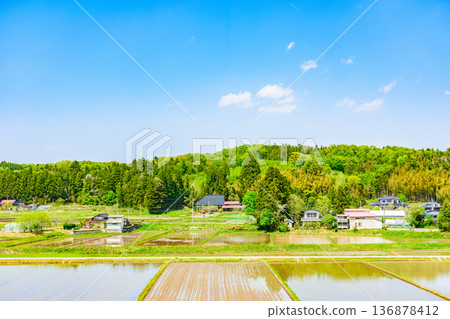 Miyagi: Scenery immediately after rice planting Miyagi: Scenery immediately after rice planting 136878412