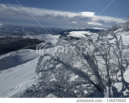 Snow-covered mountain ridge and frozen bushes on a winter alpine landscape under blue sky 136878608