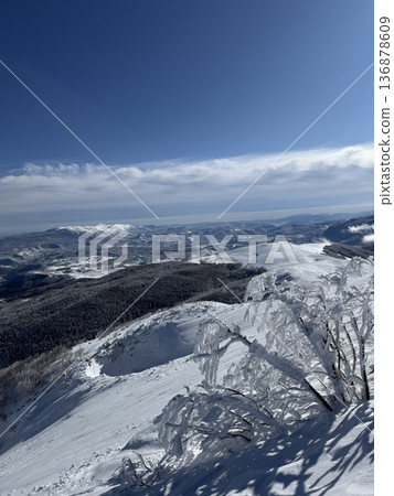 Snow-covered mountain ridge and icy shrubs under a clear blue winter sky with distant valleys Snow-covered mountain ridge and icy shrubs under a clear blue winter sky with distant valleys 136878609