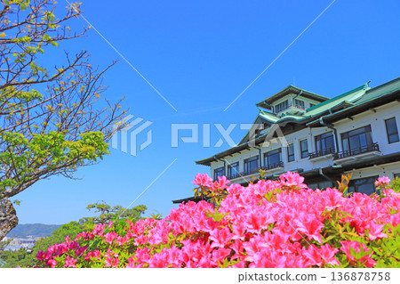 愛知縣蒲郡市杜鵑花盛開和蒲郡經典酒店風景 136878758