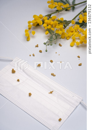 Pollen-covered mask and mimosa Pollen-covered mask and mimosa 136879132