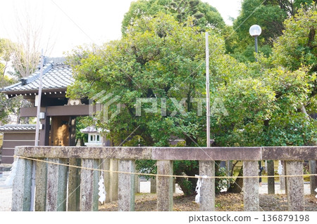 淨心寺：人工種的冬青樹 136879198