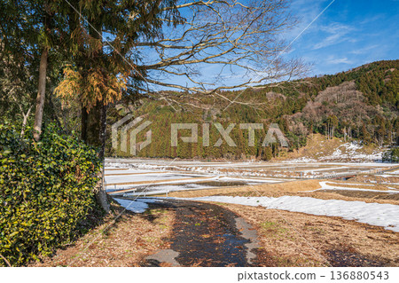 Rural scenery of Makino Town in early spring, Takashima City, Shiga Prefecture 136880543