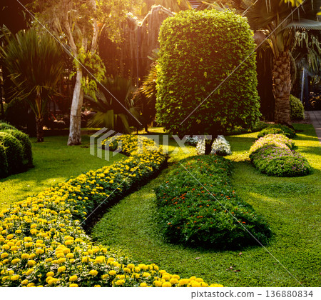 Luxury landscape design of the tropical garden.  136880834