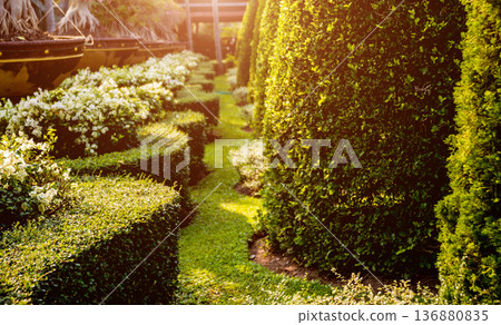 Luxury landscape design of the tropical garden. Luxury landscape design of the tropical garden. 136880835