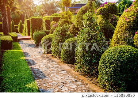 Luxury landscape design of the tropical garden. Luxury landscape design of the tropical garden. 136880850