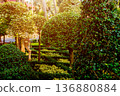 Luxury landscape design of the tropical garden.  136880884