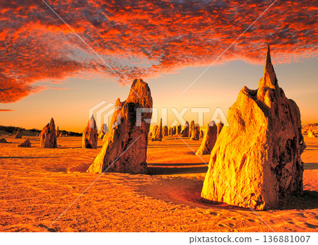 Spectacular views of the Pinnacles in Western Australia 136881007