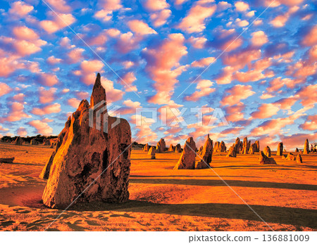 Spectacular views of the Pinnacles in Western Australia Spectacular views of the Pinnacles in Western Australia 136881009