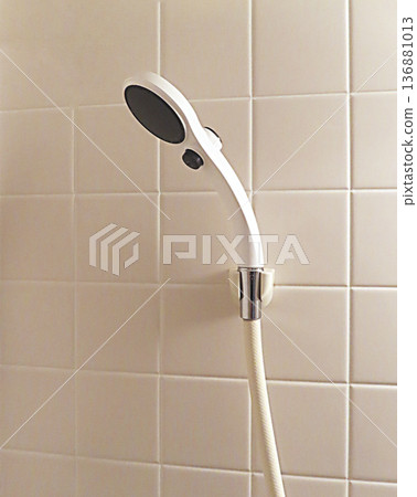 shower head 136881013