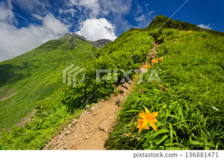 The summit of Mt. Niiyama seen from the hiking trail on the outer rim of Mt. Chokai, where the day lilies bloom The summit of Mt. Niiyama seen from the hiking trail on the outer rim of Mt. Chokai, where the day lilies bloom 136881471
