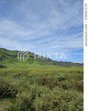 This is natural park at Bromo Mountain This is natural park at Bromo Mountain 136881574