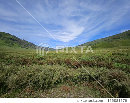 This is natural park at Bromo Mountain  136881576