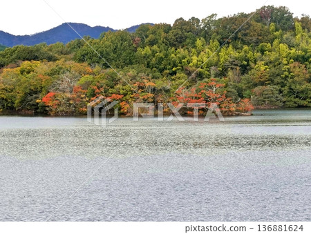 Winter scenery of Lake Ippeki in the harsh winter 136881624