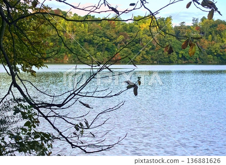 Winter scenery of Lake Ippeki in the harsh winter 136881626