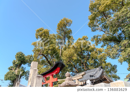 Shrine torii gate against the blue sky Shrine torii gate against the blue sky 136881629