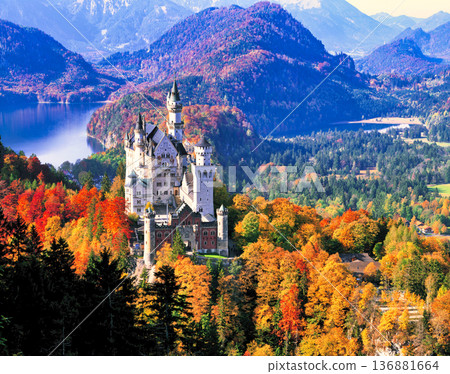 秋季新天鵝堡的壯麗景色 136881664