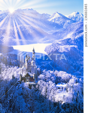 隆冬時節新天鵝堡的壯麗景色 136881665