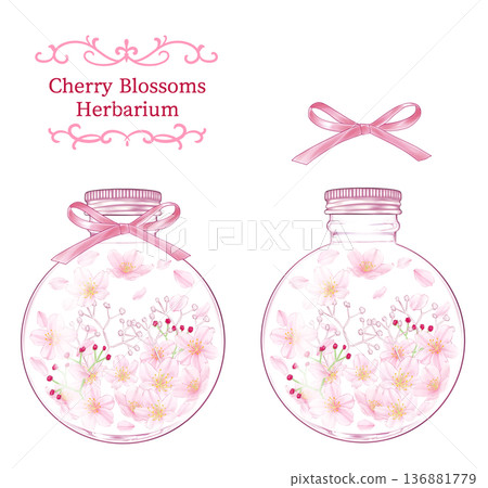 Cherry blossom herbarium in a round bottle 136881779