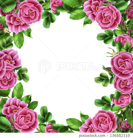 A frame of pink rose hips and green leaves. A hand-drawn watercolor spring illustration on an isolated background. Suitable for cards, packaging design, and printing on fabric and paper. 136882310