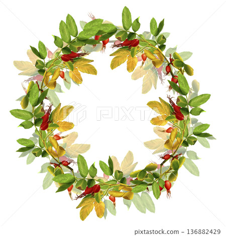 Watercolor wreath of rose hips and leaves. Hand-drawn illustration on a white isolated background. Autumn botanical clip art. Suitable for packaging design, product cards, prints, and labels. 136882429