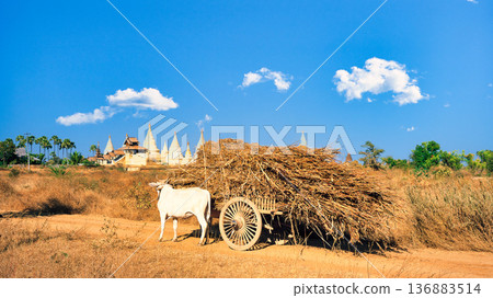 Spectacular views of the Old Bagan ruins in Myanmar 136883514