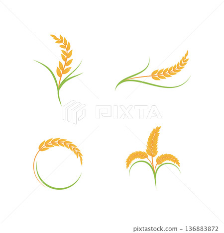 Wheat Logo icon 136883872