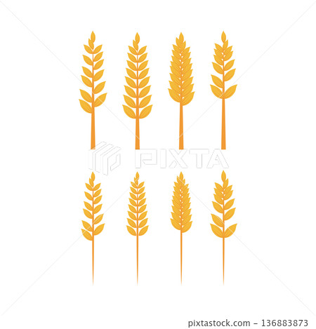 Wheat Logo icon Wheat Logo icon 136883873