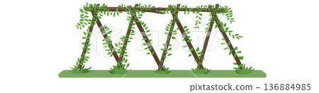 Rustic wooden trellis in a garden built with natural branches in an A frame style. Green leafy vines climb and wrap around the structure creating a lush organic vibe. 136884985