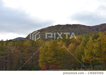 Nasu Heisei Forest 2025-11-2 #56 Nasu Heisei Forest 2025-11-2 #56 136885008