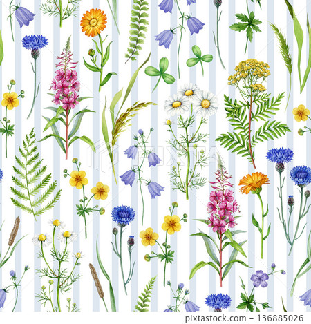 Meadow wildflowers seamless pattern vintage style watercolor illustration. Hand drawn daisies, cornflower, bluebell, tansy, fireweed blooming summer flowers elegant decor element on striped background Meadow wildflowers seamless pattern vintage style watercolor illustration. Hand drawn daisies, cornflower, bluebell, tansy, fireweed blooming summer flowers elegant decor element on striped background 136885026