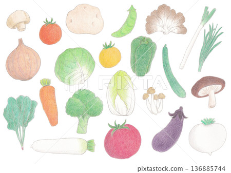 各種蔬菜的插圖集 136885744