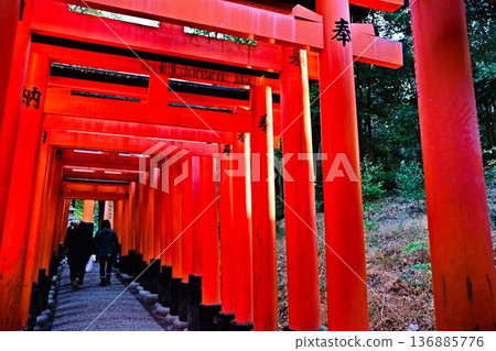清晨的寂靜中,千本鳥居巍然屹立。 清晨的寂靜中,千本鳥居巍然屹立。 136885776