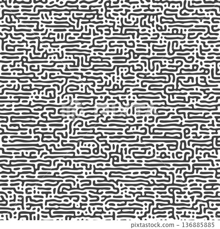 pattern with black and white turing reaction diffusion striped vector illustration pattern with black and white turing reaction diffusion striped vector illustration 136885885