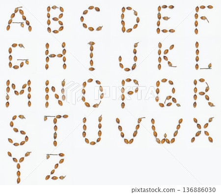 用橡子雕刻的字母表 136886030