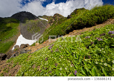 Chokai Fusuma community on the outer rim of Mt. Chokai and the summit of Mt. Shinzan 136886141