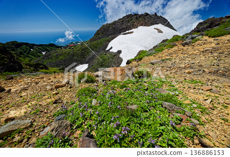 The cloud-filled summit of Shinzan seen from the outer rim of Mt. Chokai 136886153