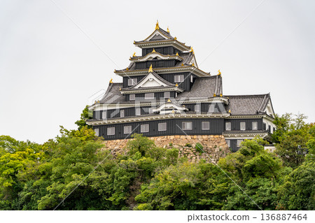 Okayama Castle (a nationally designated historic site, also known as Crow Castle or Golden Crow Castle) seen from the Asahikawa River in Korakuen Garden (restored exterior) Okayama Castle (a nationally designated historic site, also known as Crow Castle or Golden Crow Castle) seen from the Asahikawa River in Korakuen Garden (restored exterior) 136887464