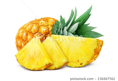 Pineapple illustration pineapple realistic Pineapple illustration pineapple realistic 136887562