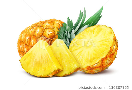Pineapple illustration pineapple realistic 136887565