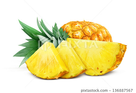 Pineapple illustration pineapple realistic 136887567